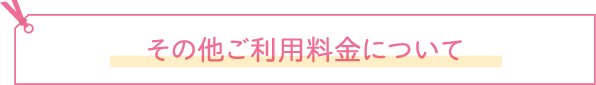 その他ご利用料金について